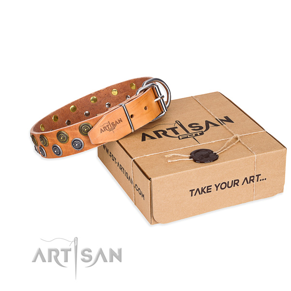 Walking dog collar of quality full grain leather with adornments