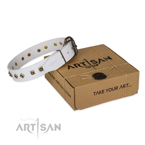 Reliable hardware on genuine leather dog collar for comfortable wearing