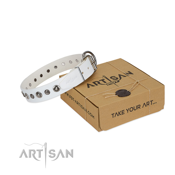 Reliable natural leather dog collar with impressive decorations
