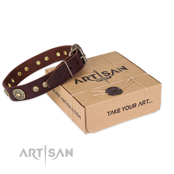 Durable buckle on full grain leather dog collar for basic training