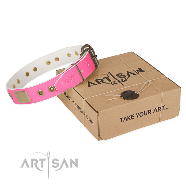 Strong buckle on dog collar for easy wearing