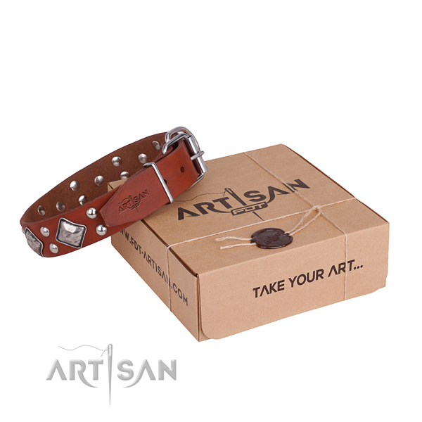 Walking dog collar with Incredible durable adornments