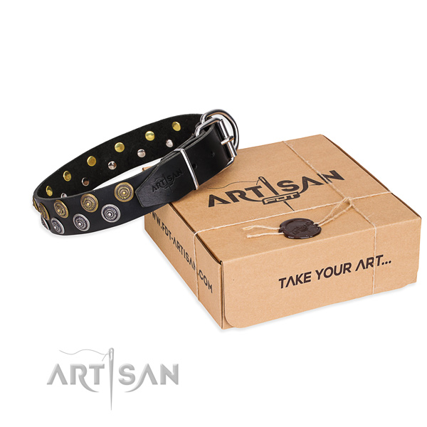 Everyday use dog collar of high quality genuine leather with adornments