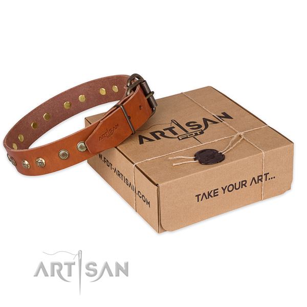 Durable buckle on full grain natural leather collar for your handsome pet