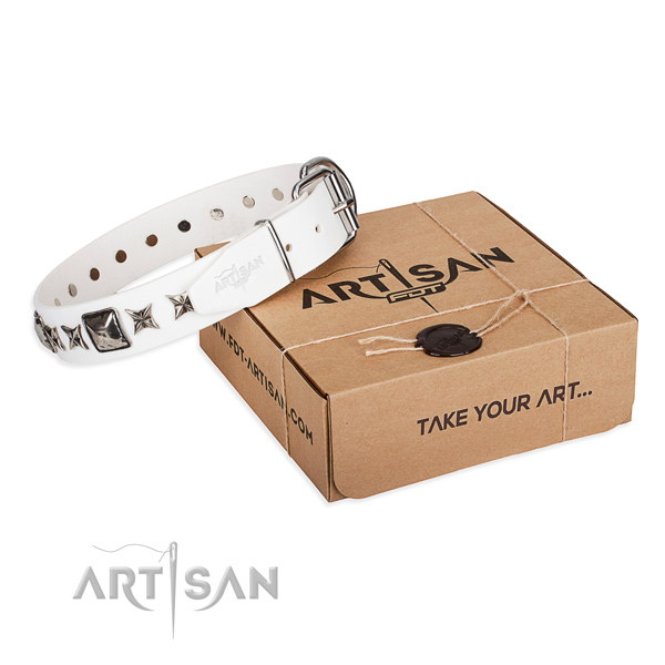 Everyday use leather dog collar with adornments