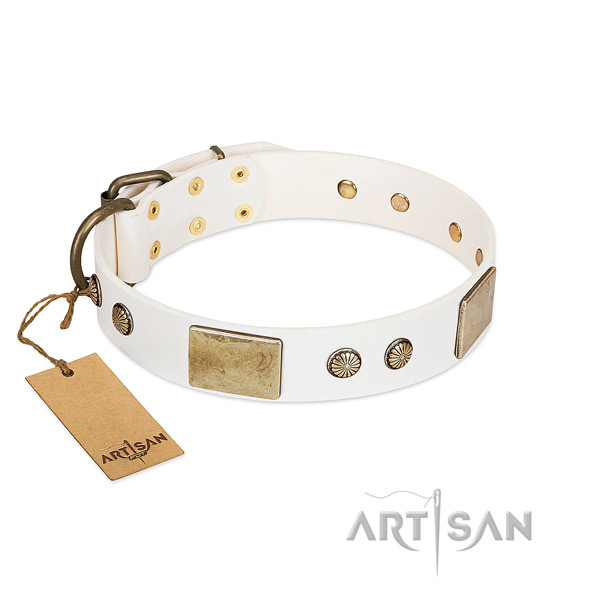 Easy to adjust full grain natural leather dog collar for everyday walking your canine