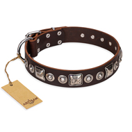 "Pierian spring" FDT Artisan Brown Leather German Shepherd Collar with Silvery Decorations
