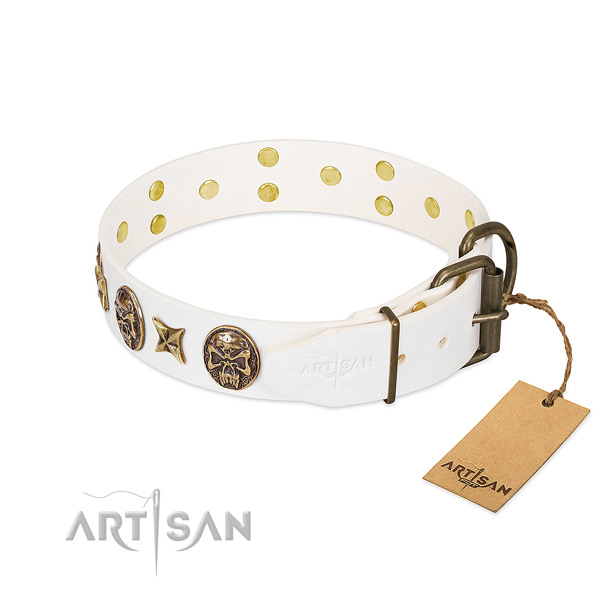 Rust-proof D-ring on full grain natural leather collar for daily walking your canine