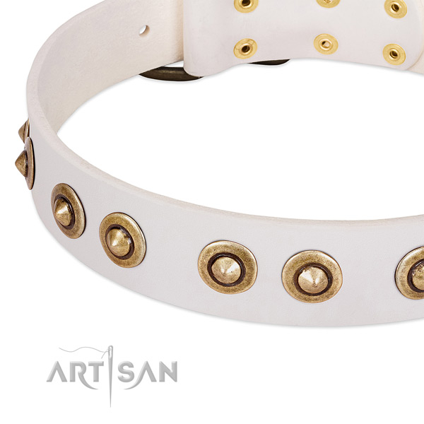 Reliable hardware on full grain genuine leather dog collar for your dog