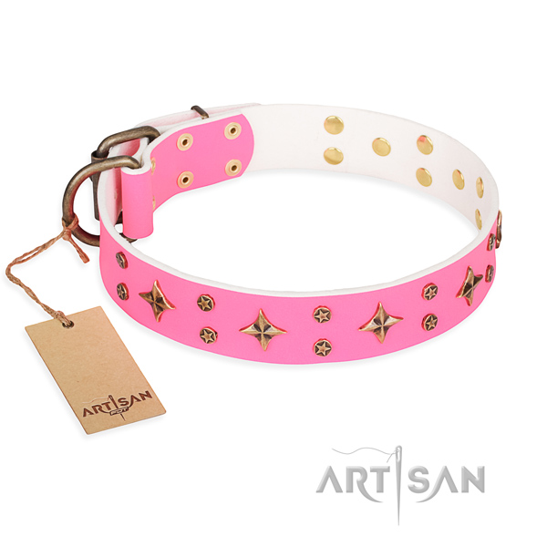 Comfy wearing dog collar of top notch leather with studs