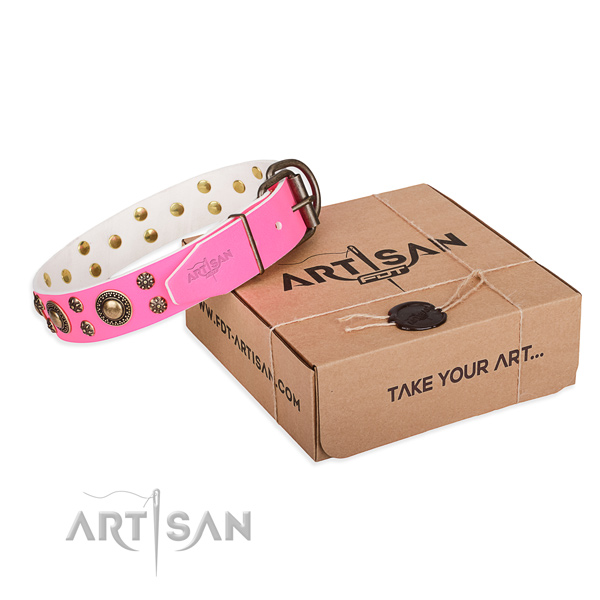 Comfortable wearing dog collar of durable genuine leather with adornments