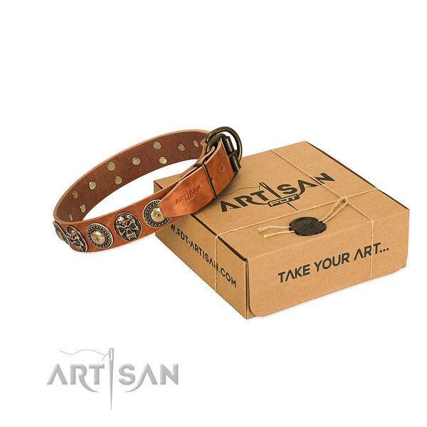 Strong adornments on dog collar for everyday use