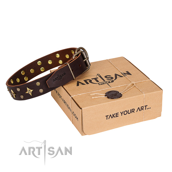 Everyday walking dog collar of fine quality full grain natural leather with embellishments