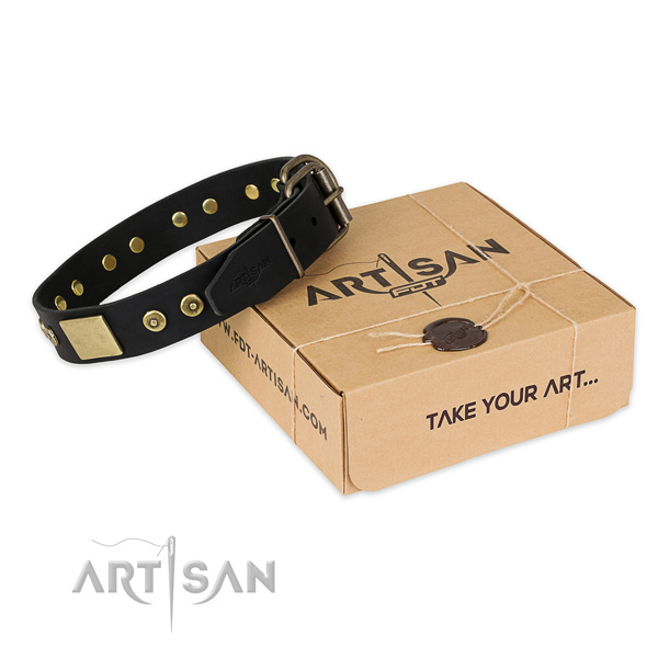 Durable hardware on full grain leather dog collar for everyday walking