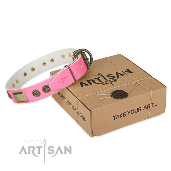 Durable fittings on dog collar for stylish walking