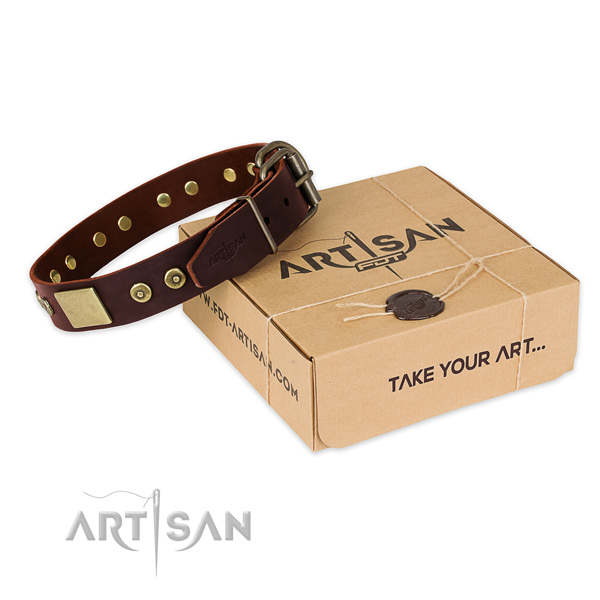Durable fittings on dog collar for stylish walking