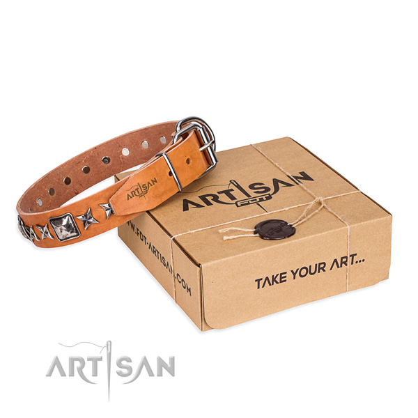 Stylish walking dog collar of top notch full grain leather with decorations