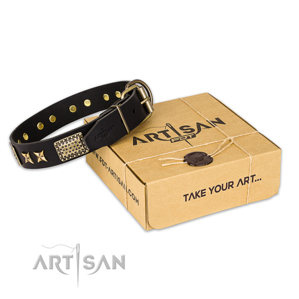 Corrosion proof buckle on full grain genuine leather collar for your impressive canine