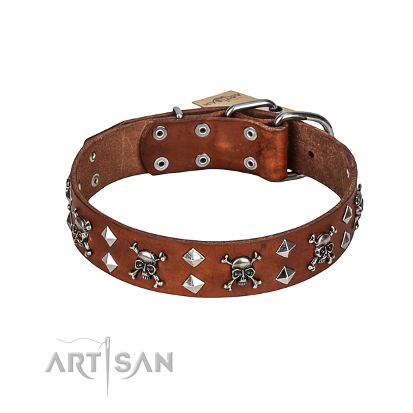 Comfortable wearing dog collar of top quality full grain leather with embellishments