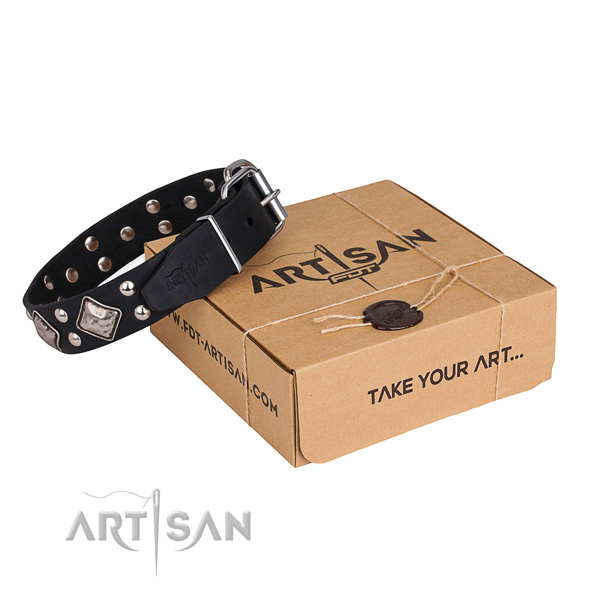 Walking dog collar with Exceptional corrosion resistant decorations