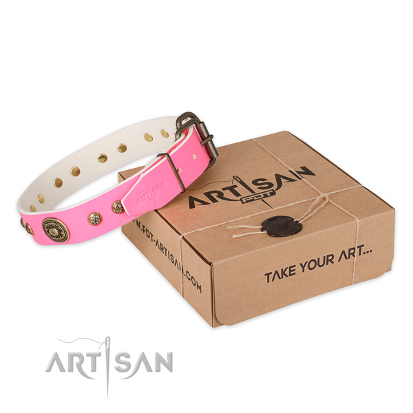 Durable D-ring on genuine leather dog collar for daily use