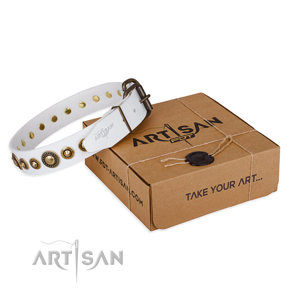 Soft to touch full grain natural leather dog collar created for stylish walking