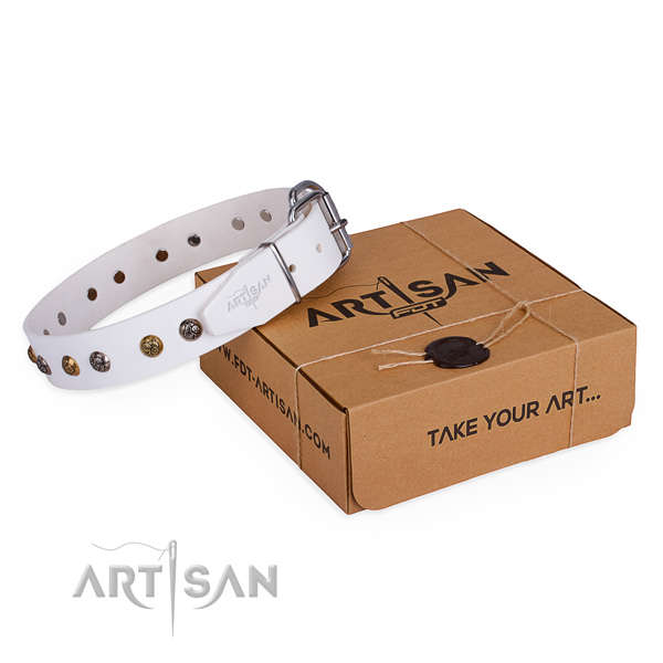 Basic training dog collar with Unusual rust-proof decorations