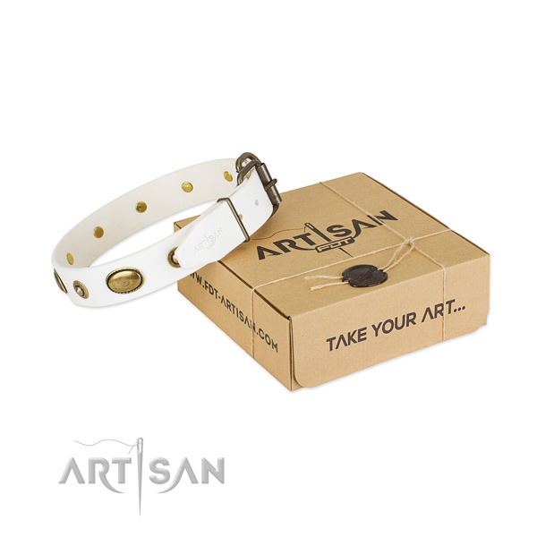 Exceptional full grain leather collar for your beautiful dog