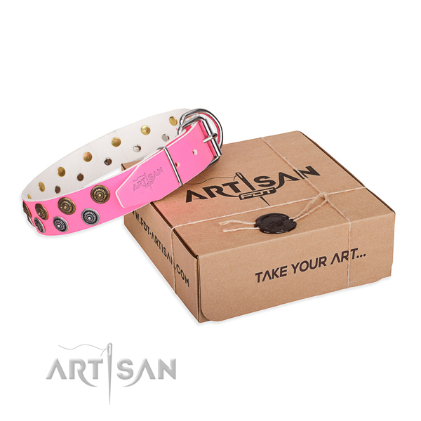 Comfortable wearing dog collar of strong leather with adornments