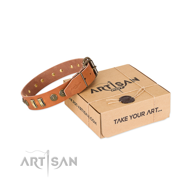 Reliable adornments on leather dog collar for your four-legged friend