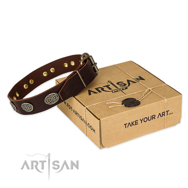 Rust-proof traditional buckle on genuine leather collar for your impressive doggie