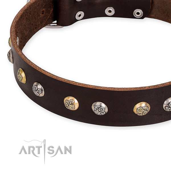 Natural genuine leather dog collar with unusual durable adornments