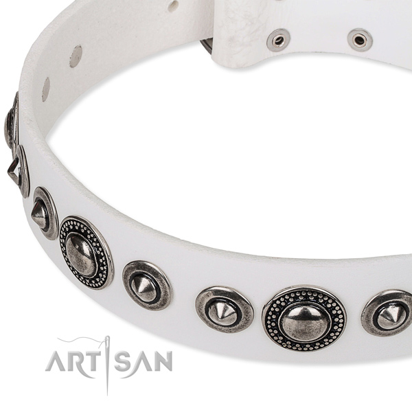 Comfy wearing adorned dog collar of top notch full grain genuine leather