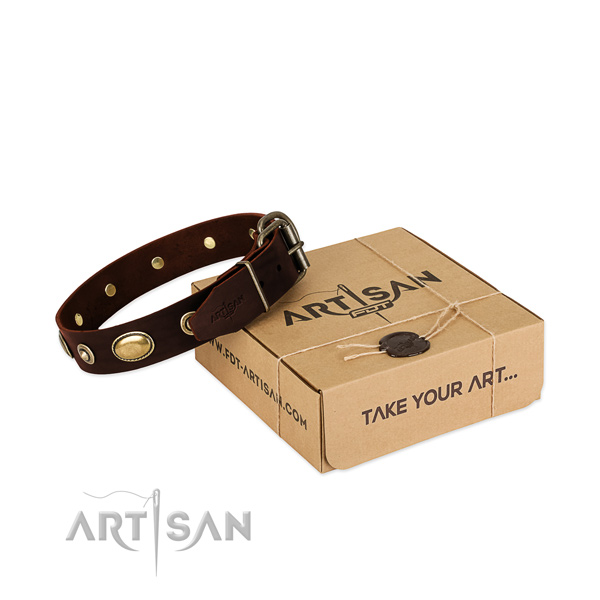 Corrosion proof decorations on full grain natural leather dog collar for your doggie