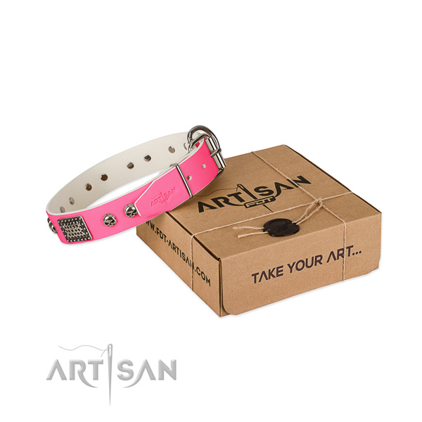 Corrosion proof adornments on dog collar for daily use