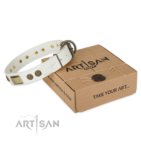 Durable D-ring on leather dog collar for comfy wearing