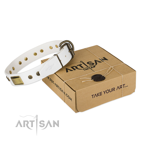 Perfect fit leather collar for your impressive doggie