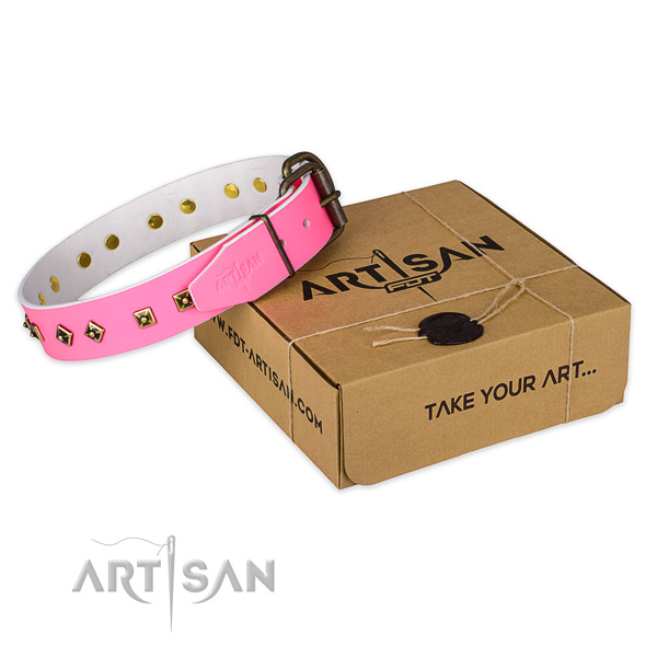 Strong D-ring on genuine leather dog collar for comfy wearing