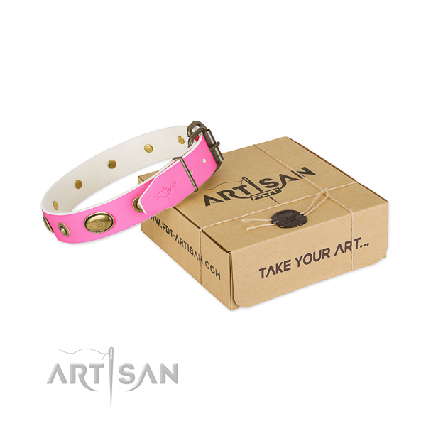 Fashionable natural leather collar for your beautiful canine