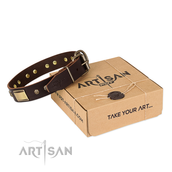 Exquisite full grain leather collar for your lovely doggie