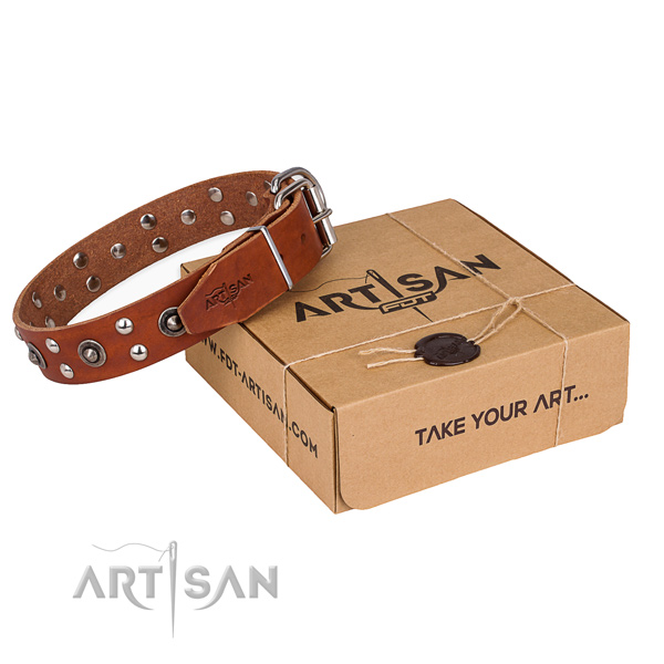 Reliable D-ring on full grain leather collar for your attractive pet