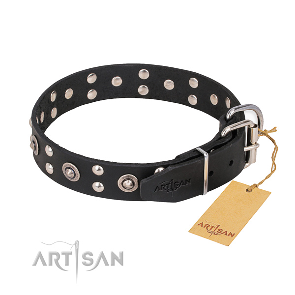 Leather dog collar with unusual rust resistant adornments