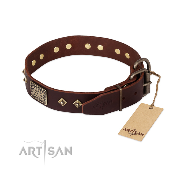 Genuine leather dog collar with durable traditional buckle and embellishments