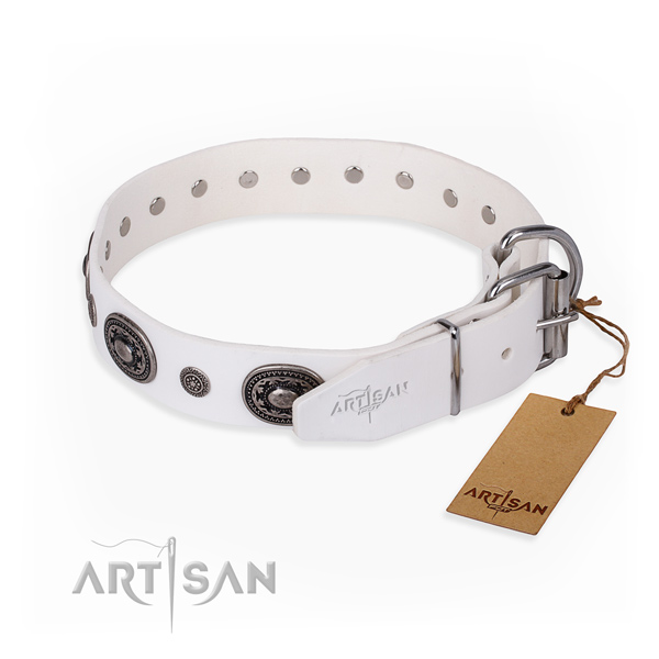 High quality full grain leather dog collar crafted for daily use