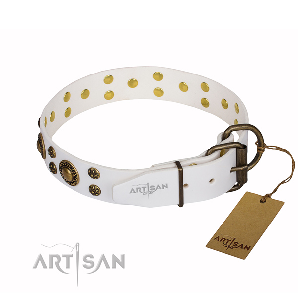 Stylish walking adorned dog collar of quality genuine leather