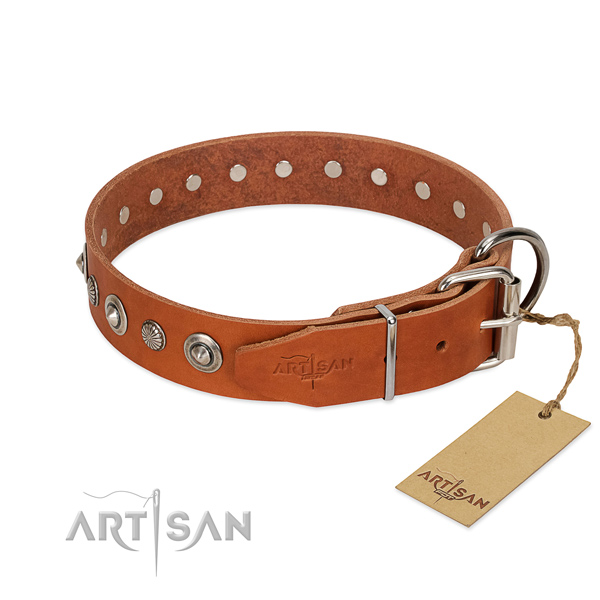 Best quality full grain leather dog collar with trendy studs