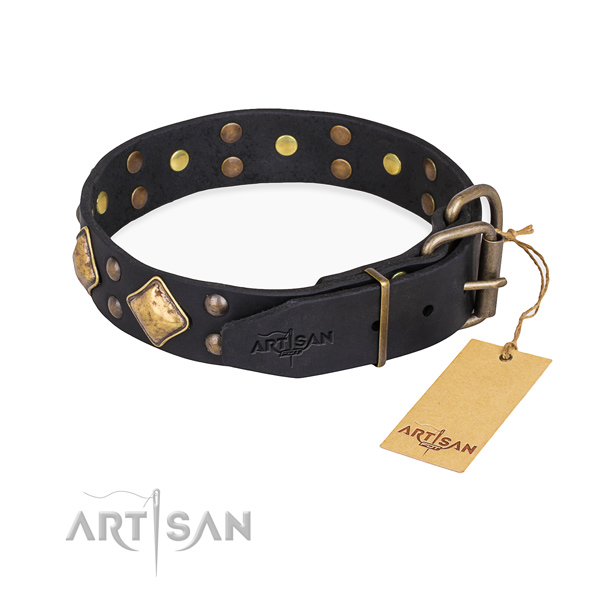 Full grain natural leather dog collar with inimitable corrosion proof adornments