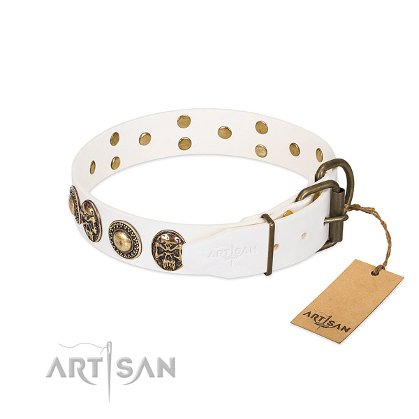 Reliable studs on handy use dog collar
