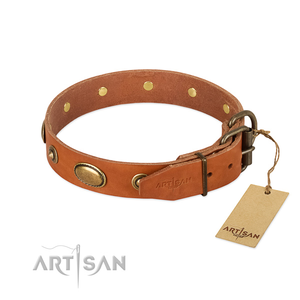 Durable studs on full grain genuine leather dog collar for your dog