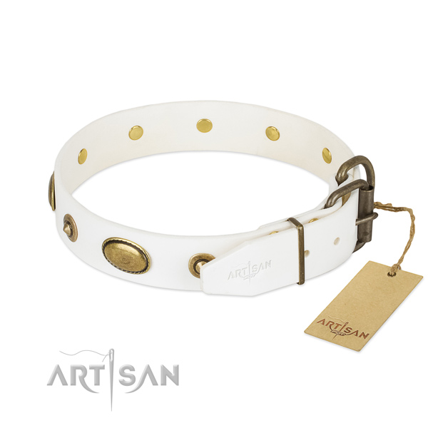Rust-proof embellishments on natural leather dog collar for your four-legged friend